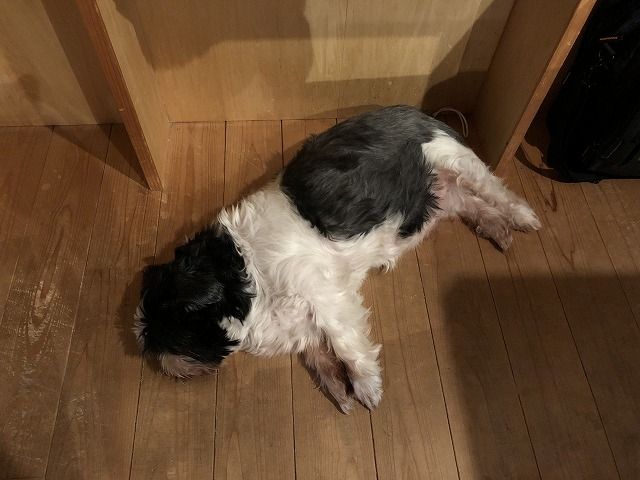 ぎっくり腰に。。。