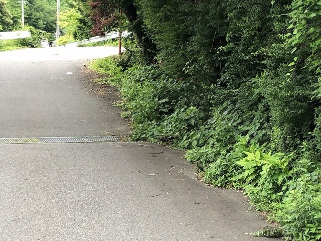 カモの子助ける。