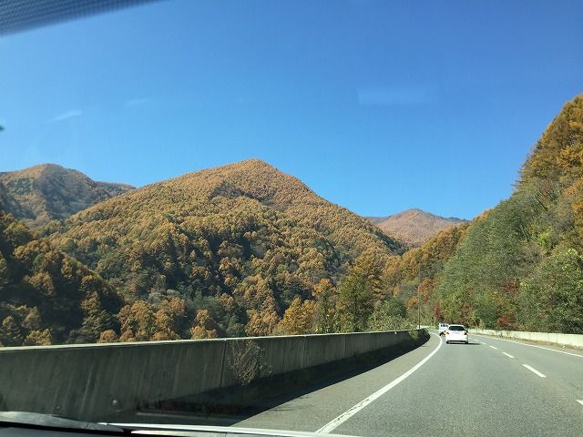 秋の山になりました