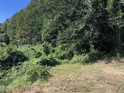 高台の見晴らしのいい敷地