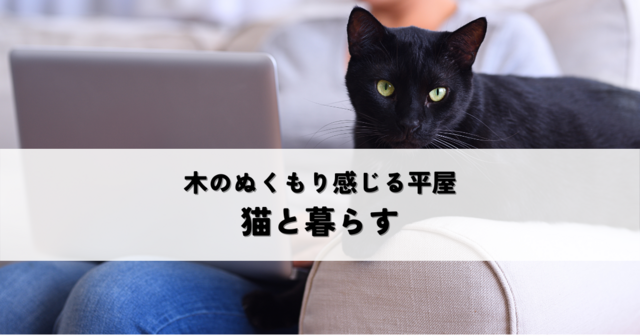木のぬくもり感じる平屋で猫と暮らすとは？